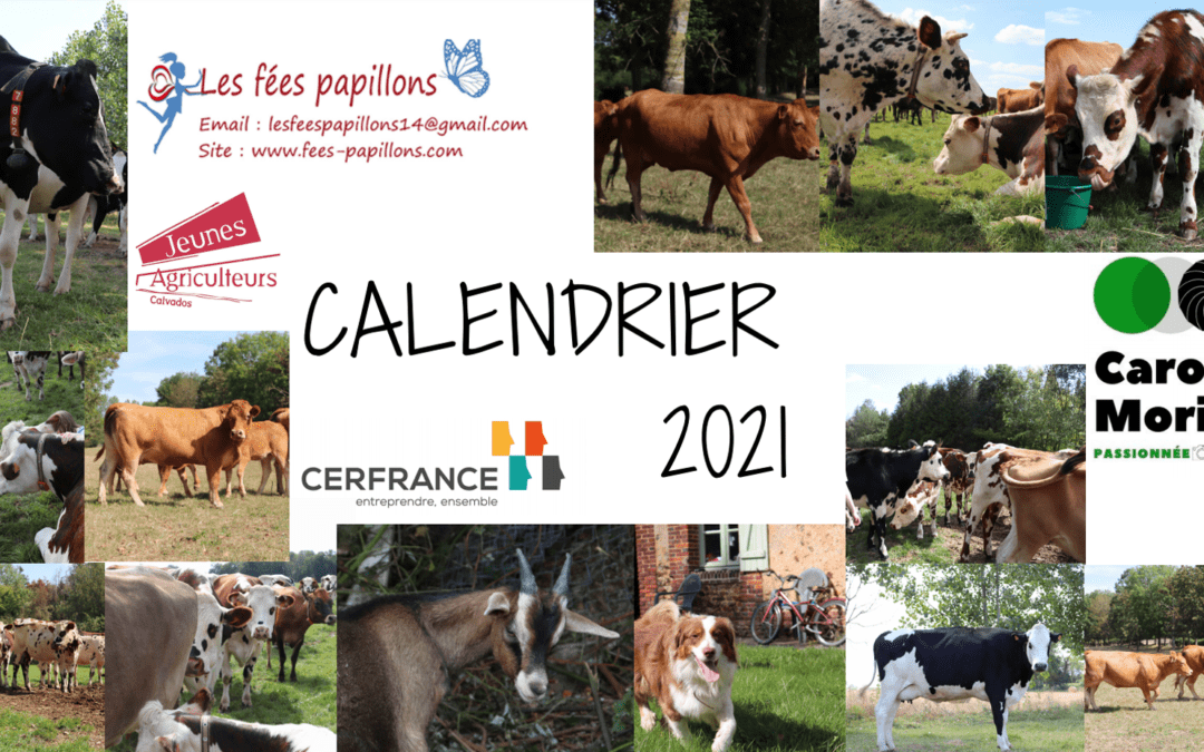 Calendrier JA14 : Quand nos jeunes agriculteurs ont le cœur sur la main !